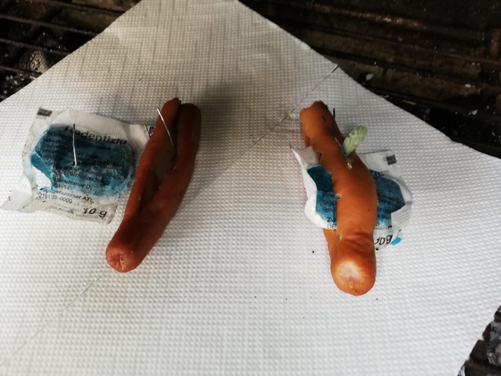 Giftköder-Giftköder im Garten-Profilbild