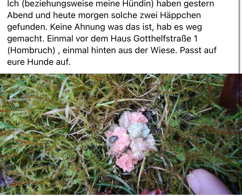 Giftköder-Giftköder-Profilbild