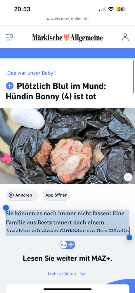 Giftköder-Toter Hund-Profilbild