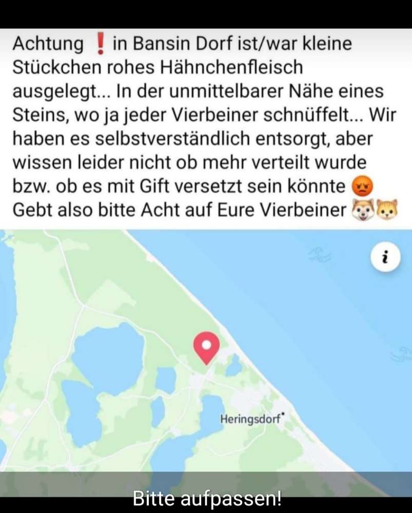 Giftköder-Ausgelegtes Hähnchen-Profilbild