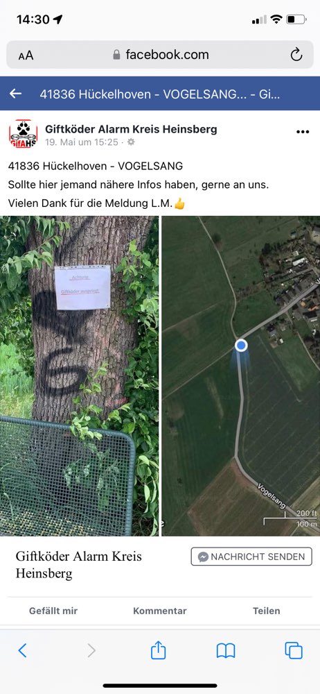 Giftköder-Giftköder am Baum-Profilbild