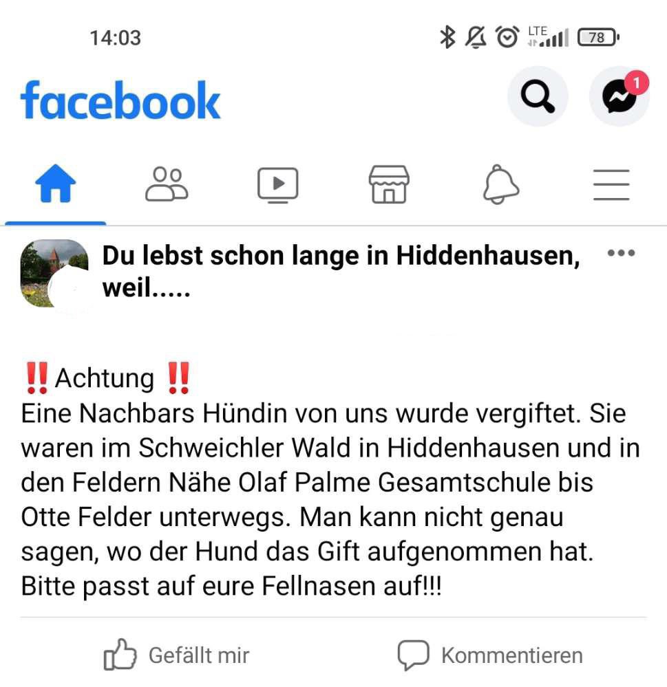 Giftköder-Giftköder-Profilbild