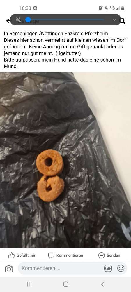 Giftköder-Verteilte Leckerlies-Profilbild