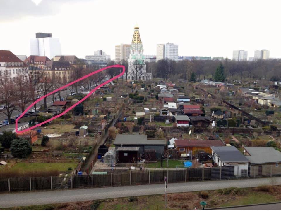 Giftköder-Tote Mäuse (vermutlich Rattengift)-Profilbild