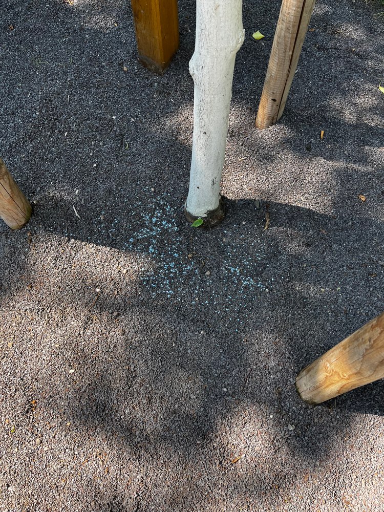 Giftköder-Blaukorn / Rattengift am Stadion-Profilbild