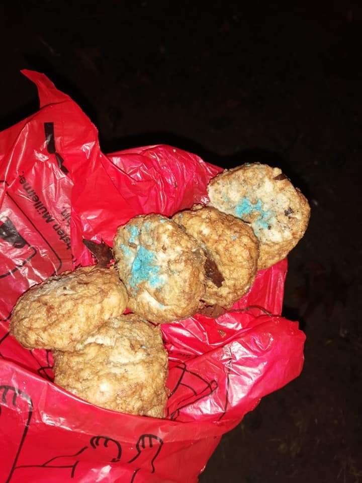 Giftköder-Vergiftete Hackbällchen-Profilbild