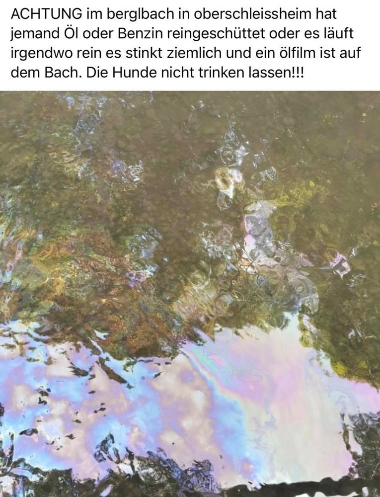 Giftköder-Wasser mit Benzin /Öl-Profilbild