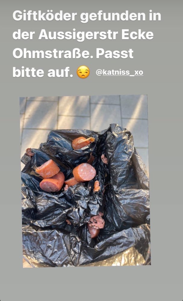 Giftköder-Wurststucke ausgelegt-Profilbild