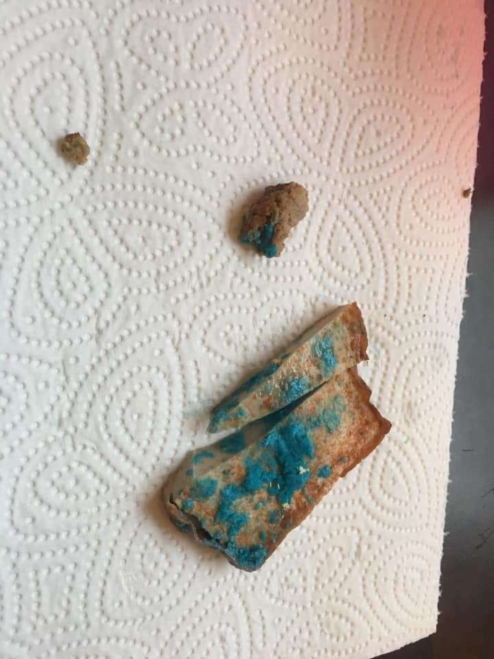 Giftköder-Erneut Giftköder-Profilbild