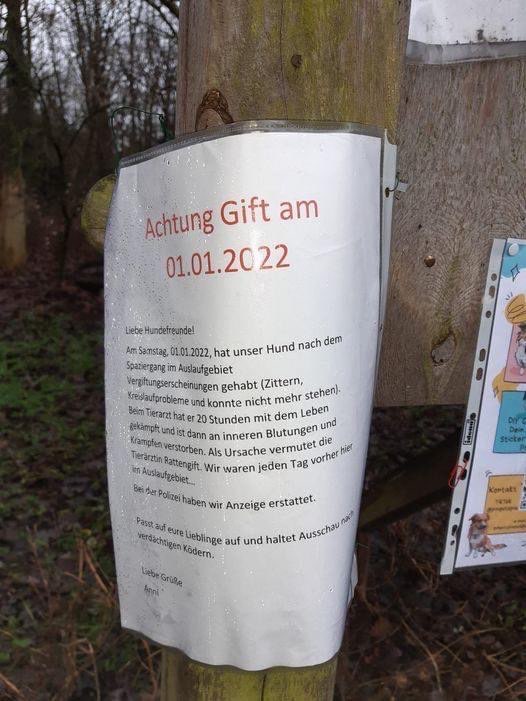 Giftköder-Vergifteter Hund-Profilbild