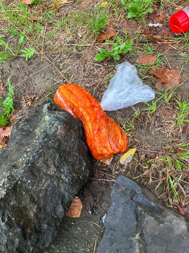 Giftköder-Vermutlich Giftköder !-Profilbild