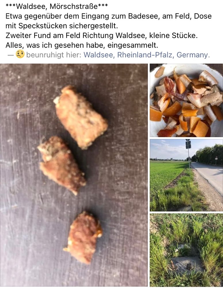 Giftköder-Giftköder-Profilbild