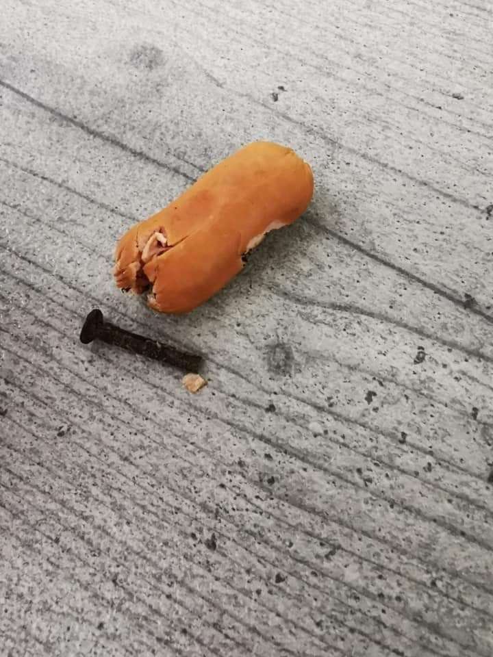 Giftköder-Präparierte Wurst-Profilbild