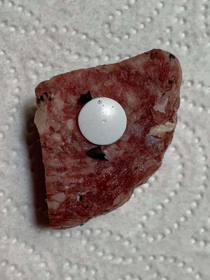 Giftköder-Giftköder-Profilbild