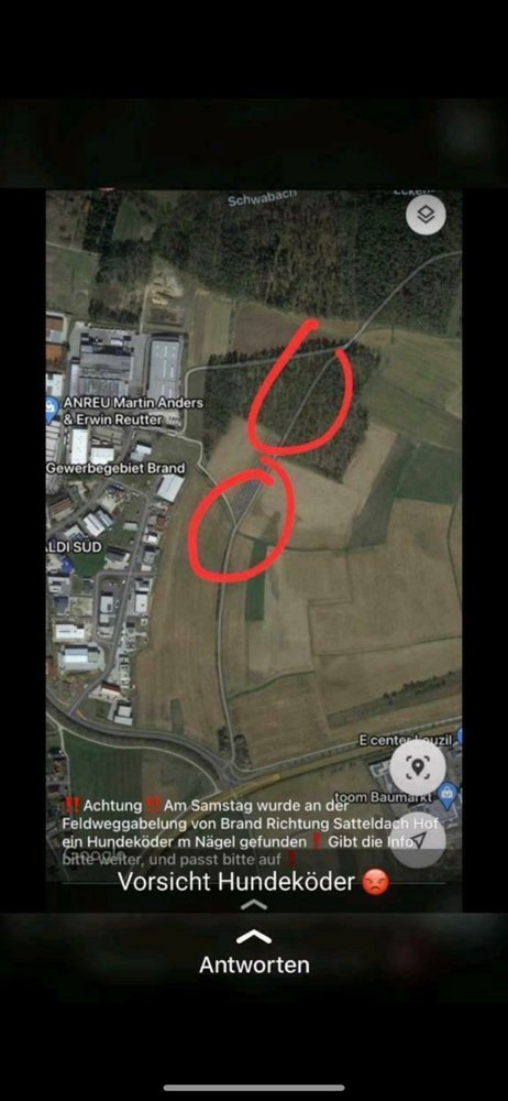 Giftköder-Hundeköter-Profilbild