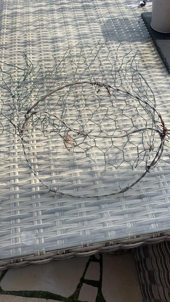 Giftköder-Schlingfallen-Profilbild