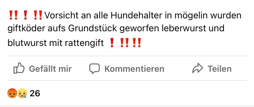 Giftköder-Giftköder im Garten geworfen-Profilbild