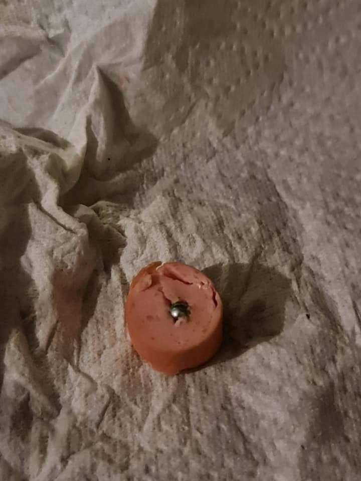 Giftköder-Wurst mit Schrauben-Profilbild