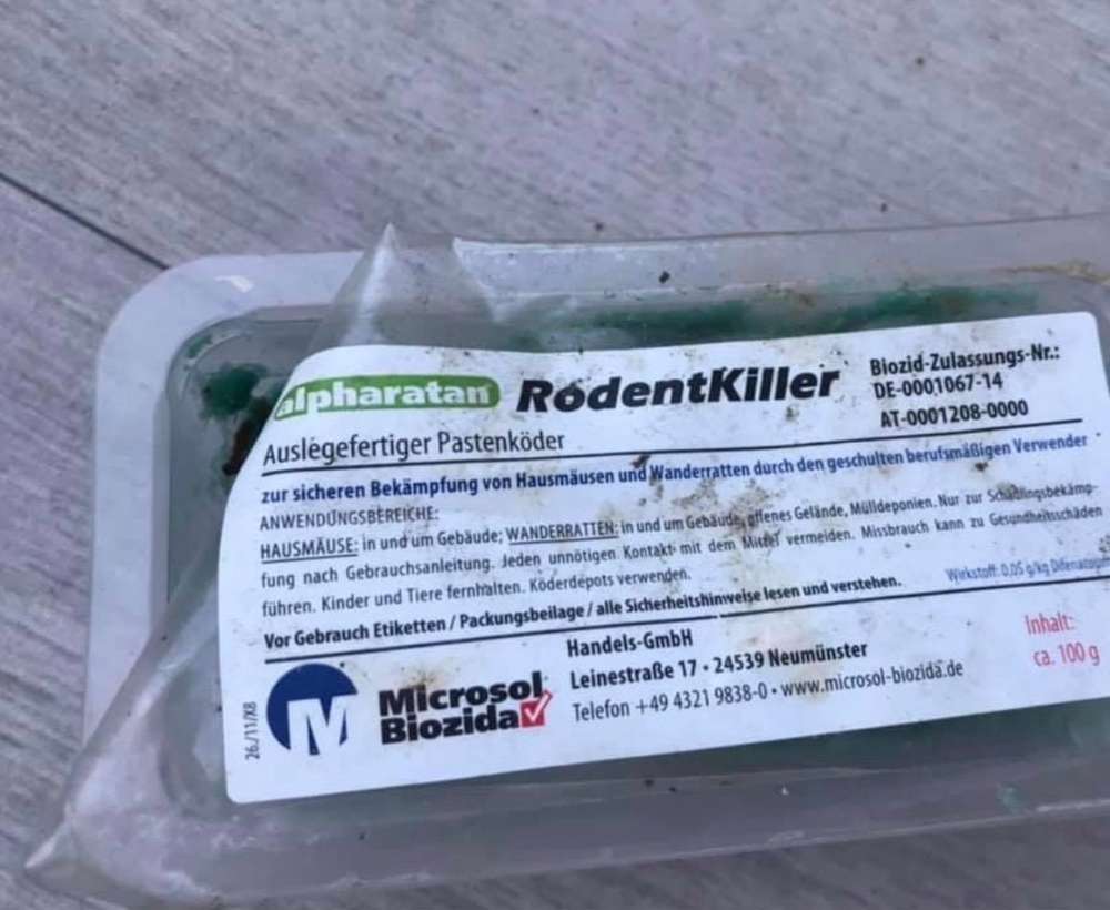 Giftköder-Rattengift am Gartenzaun-Profilbild