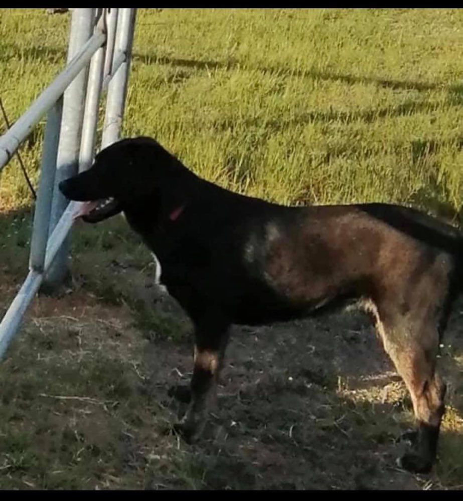 Suchmeldung-Elli-Profilbild