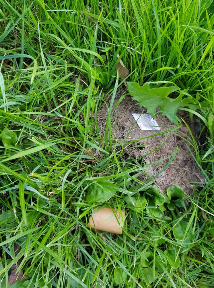 Giftköder-Rasierklingen-Profilbild