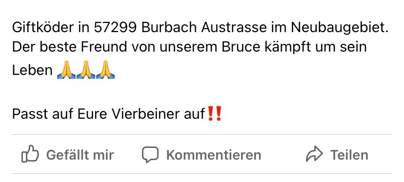 Giftköder-Giftköder-Profilbild