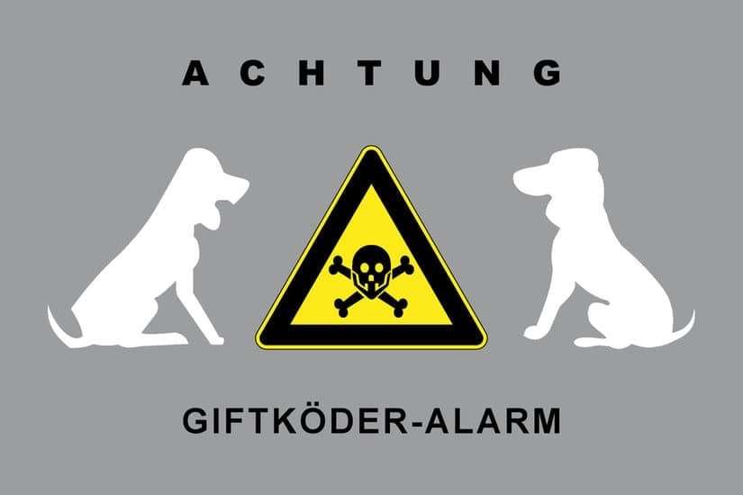 Giftköder-Giftköder-Profilbild