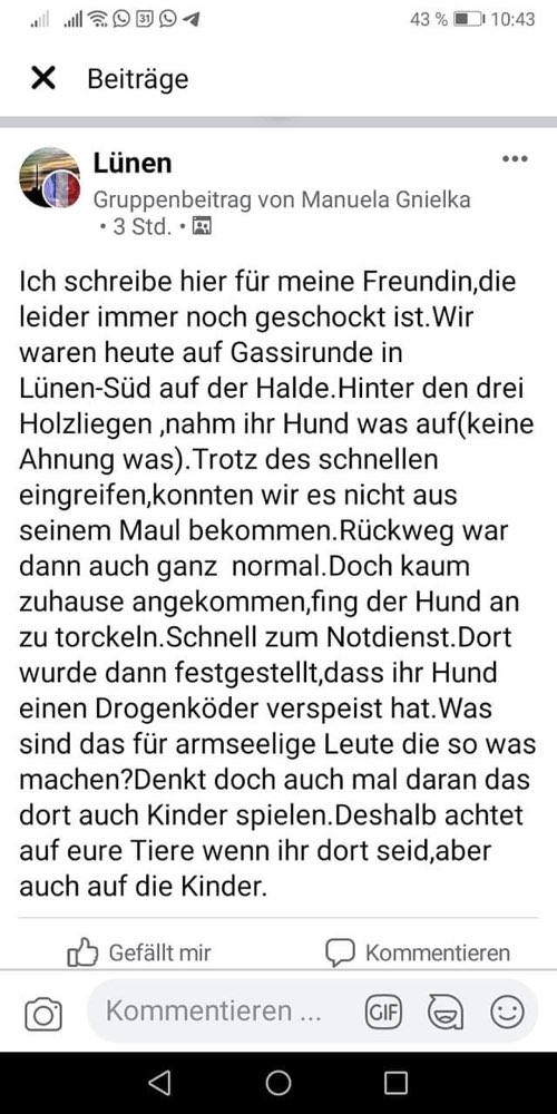 Giftköder-Vergifteter Hund - Drogen-Profilbild