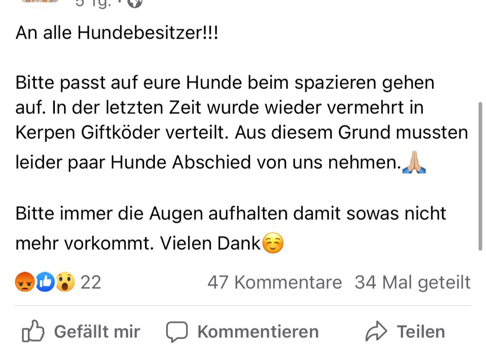 Giftköder-Giftköder-Profilbild