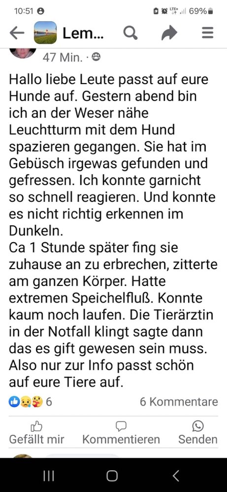 Giftköder-Giftköder-Profilbild