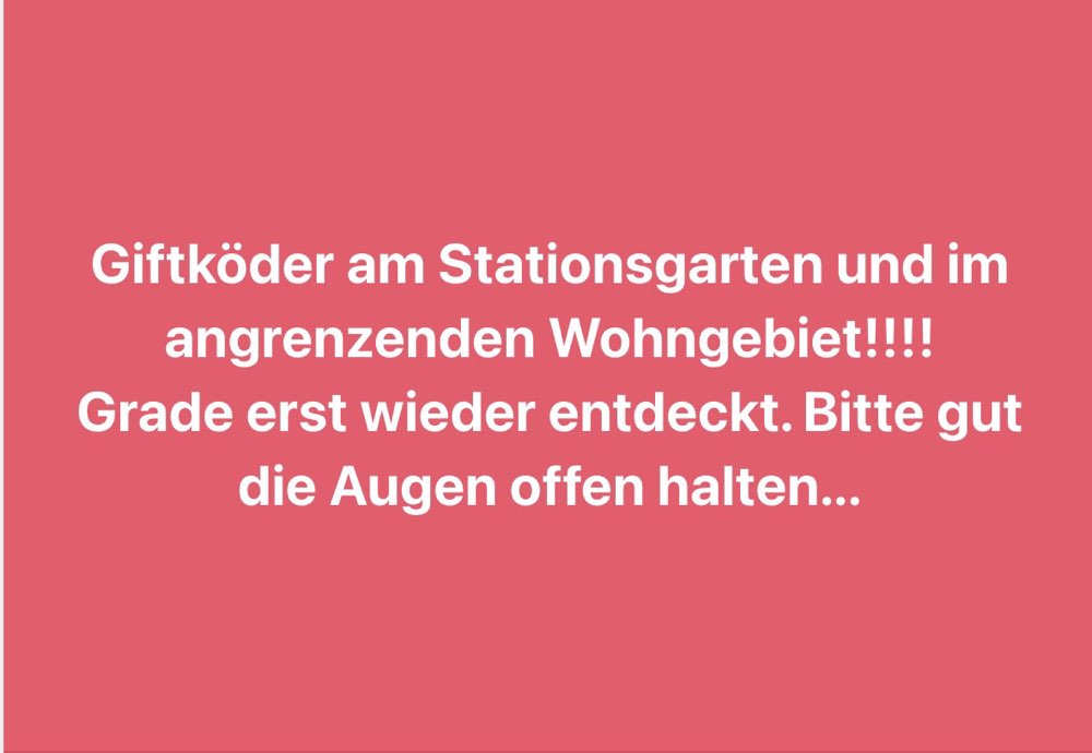 Giftköder-Giftköder-Profilbild