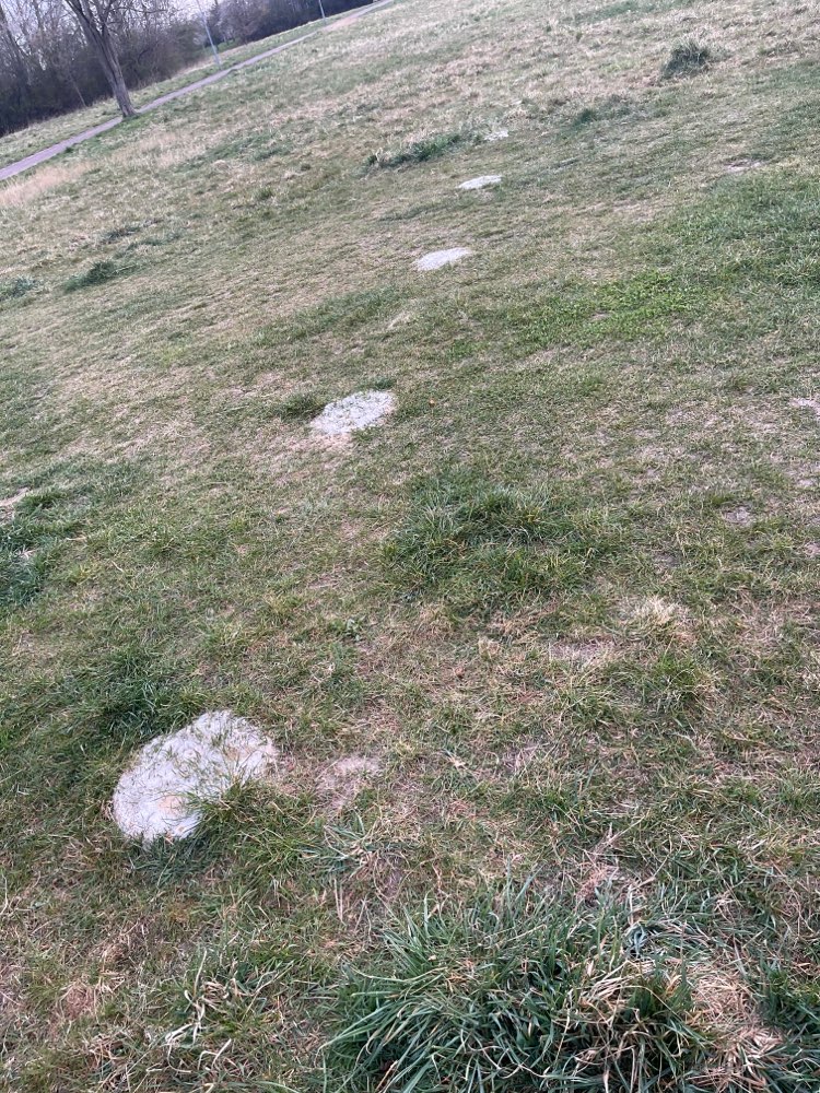 Giftköder-Giftköder-Profilbild