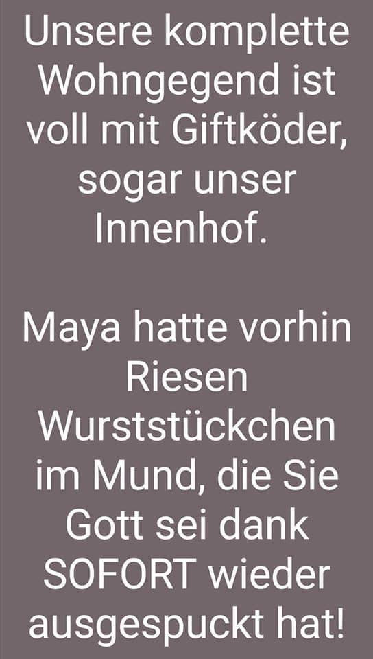 Giftköder-Giftköder - Würstchen-Profilbild