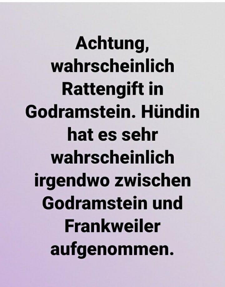 Giftköder-Rattengift-Profilbild