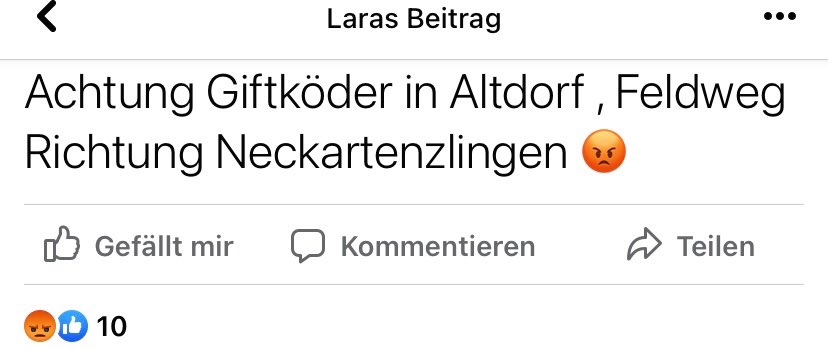 Giftköder-Giftköder-Profilbild