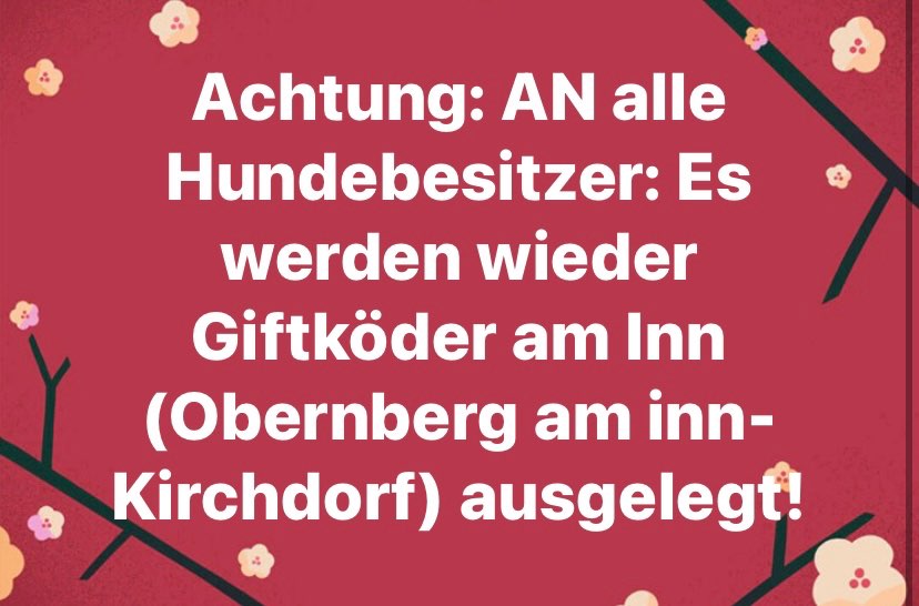 Giftköder-Giftköder-Profilbild