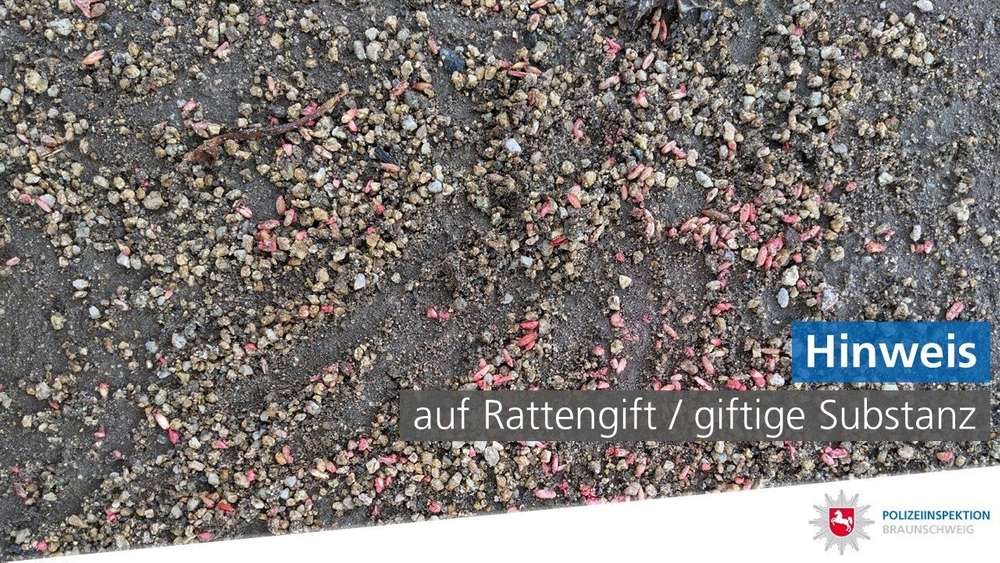 Giftköder-Rattengift-Profilbild