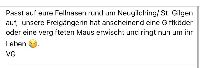 Giftköder-Vergiftete Katze-Profilbild