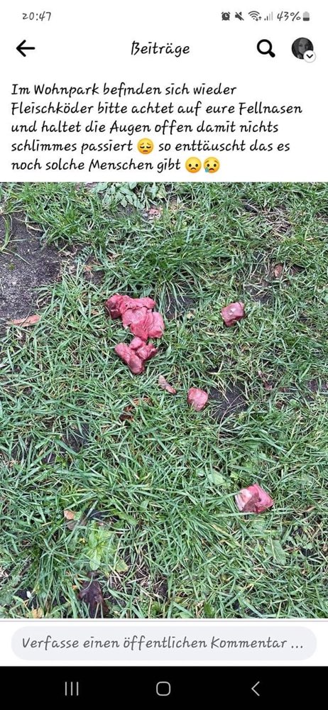 Giftköder-Fleischköder-Profilbild