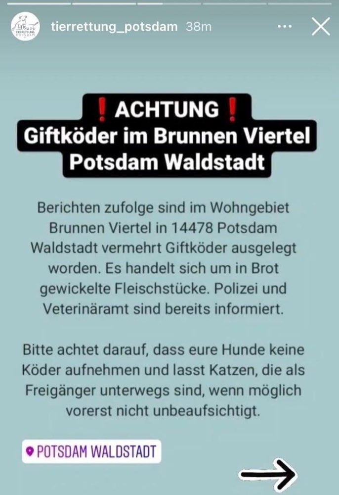 Giftköder-Giftköder-Profilbild