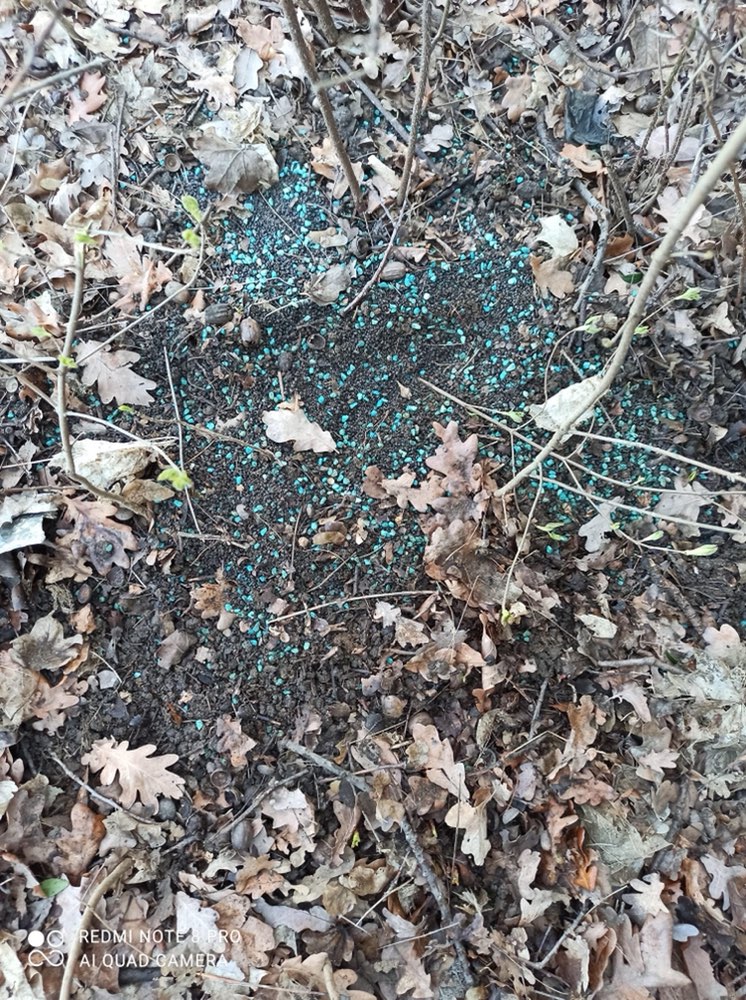 Giftköder-Rattengift-Profilbild