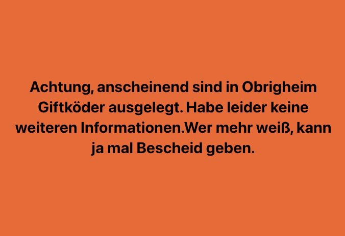 Giftköder-Giftköder-Profilbild