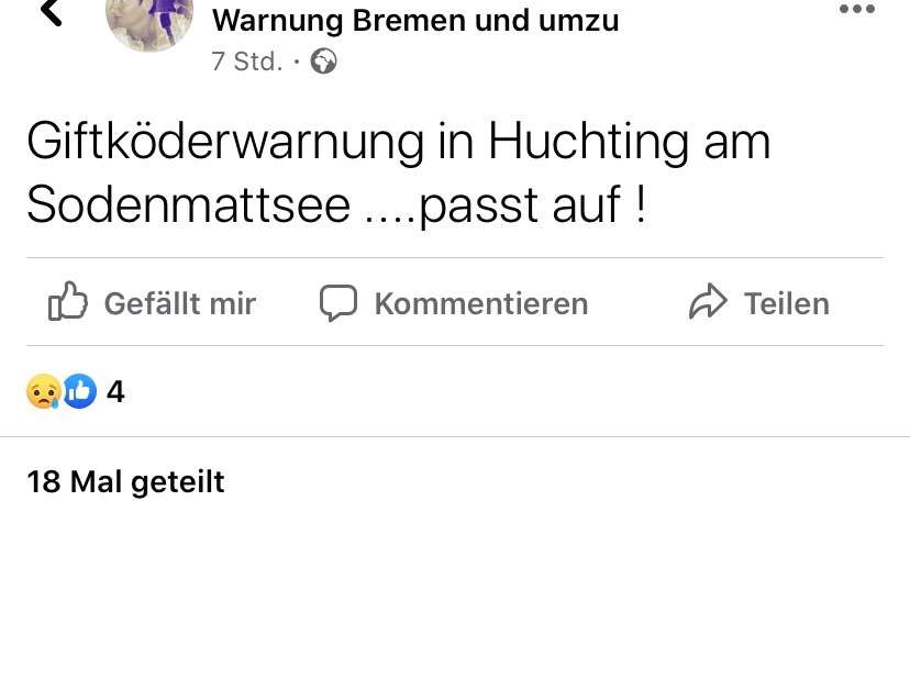 Giftköder-Giftköder-Profilbild