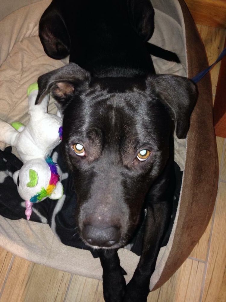 Suchmeldung-Willi-Profilbild