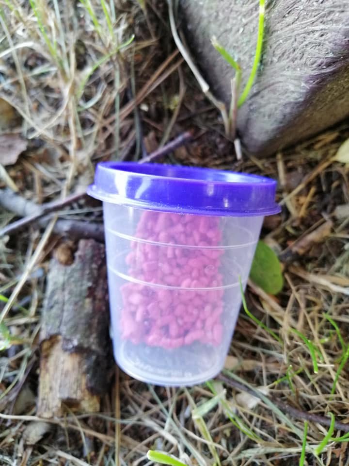 Giftköder-Giftköder-Profilbild