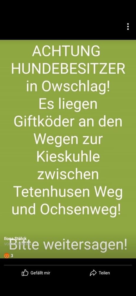 Giftköder-Giftköder-Profilbild