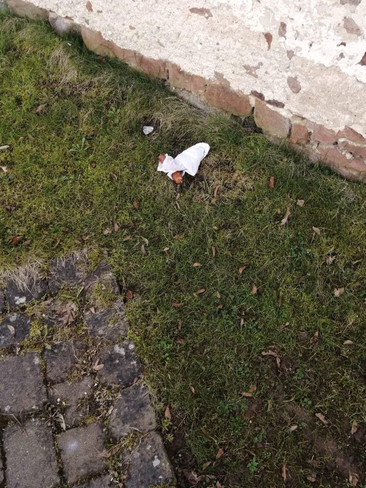 Giftköder-Giftköder / verletzter Hund-Profilbild