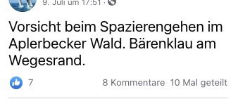 Giftköder-Bärenklau am Wegesrand-Profilbild