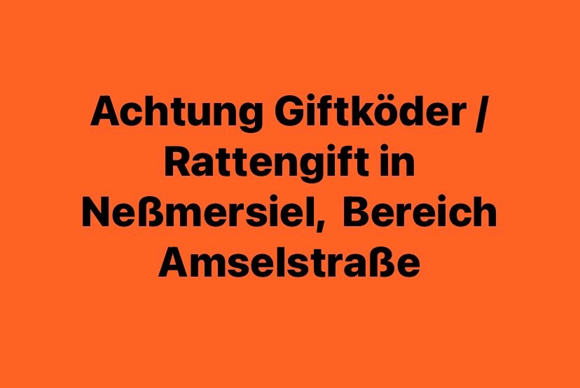 Giftköder-Giftköder-Profilbild