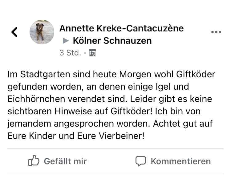 Giftköder-Giftkoder-Profilbild